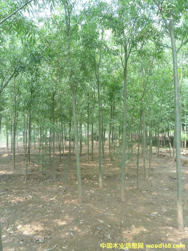 ����鿴�������Ŵ�ͼƬ