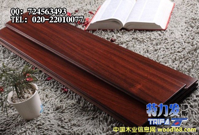 ������̴ʵľ�ذ�