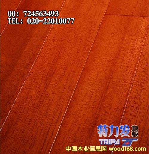 ������ʵľ�ذ�