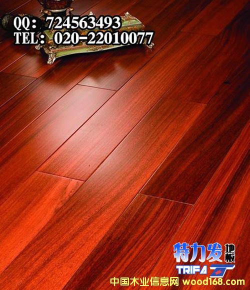 Բ�̶�ʵľ�ذ� 