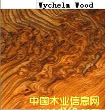 Mychelm Woodϸ
