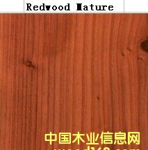 Red Wood Mature