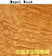 Mapel Wood
