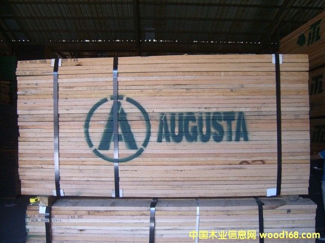 美国红橡的详细介绍