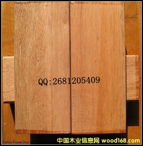 [] Ϻľľ࣬ľΣľó