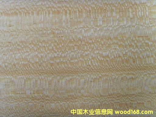 ����鿴0.3mm����˿��ƷľƤ�Ŵ�ͼƬ