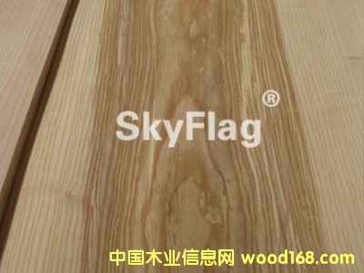 ����鿴2012����魰�˨ľƤ�Ŵ�ͼƬ