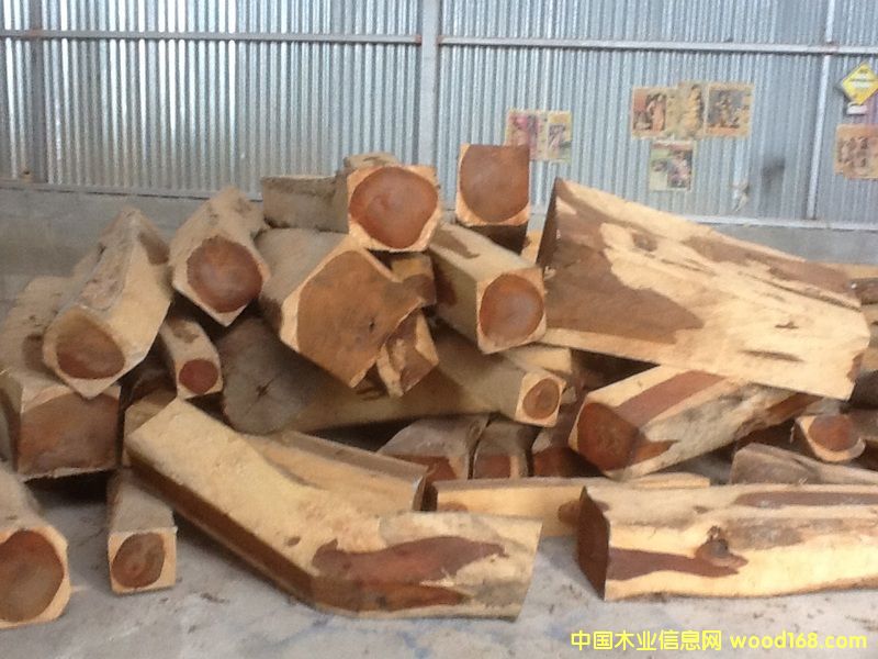 微凹黄檀 微凹黄檀