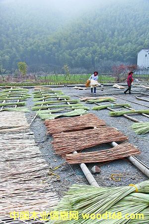 ����������Ʒ�ӹ���ҵ