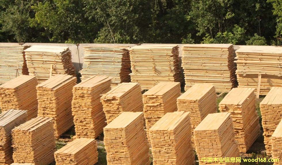 桦木板的详细介绍