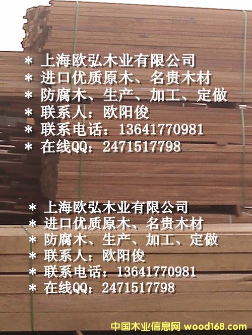 山樟木的详细介绍