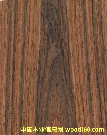 ɽ֦ľƤ ҾľƤ ݸľƤ