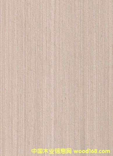 30˿ƼľƤ ҾľƤ ݸľƤ