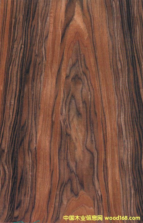 25˿ɽ֦ ߵҾľ֦ ƼľƤҵϸ