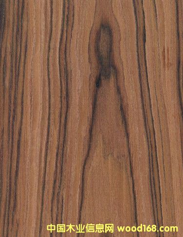 ¿ɽ֦ ҾľƤ֦ ߵ֦ϸ