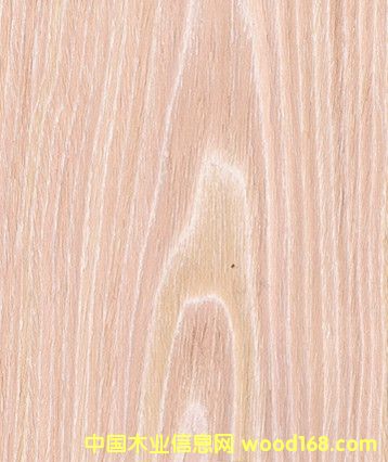 ˮϴɽľ ˮϴľƤ ľƤ