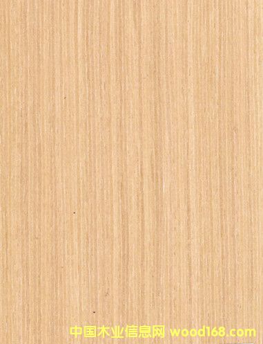 ˮϴľƤ ϸˮϴľ ¿ƼľƤ ľƤ