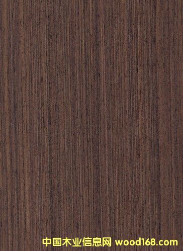 켦ľƤ ݸľƤ ľƤҵϸ