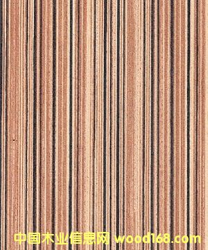 ߵľƤ ƼľƤ ֱưľƤ ʵľľƤ