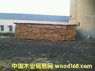 椴木板材的详细介绍