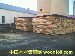 椴木板材的详细介绍