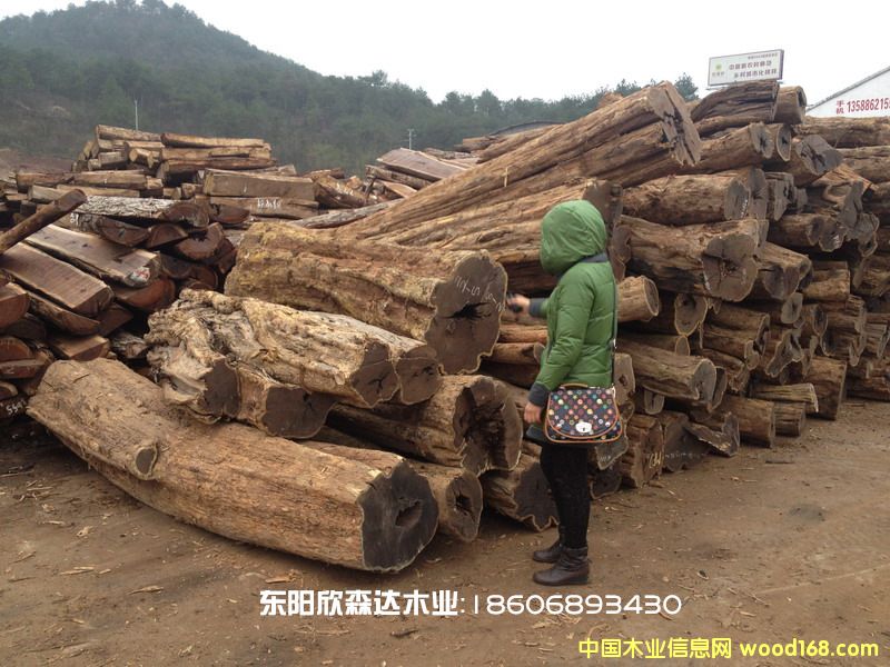 Ϲ̴(Ǻڻ̴,ľ,̴)130226-9