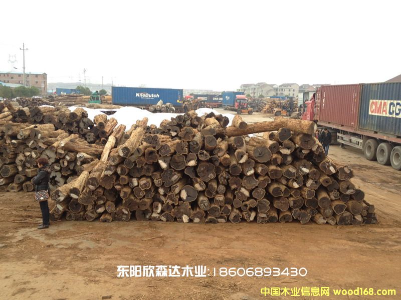 Ϲ̴(Ǻڻ̴,ľ,̴)130226-5