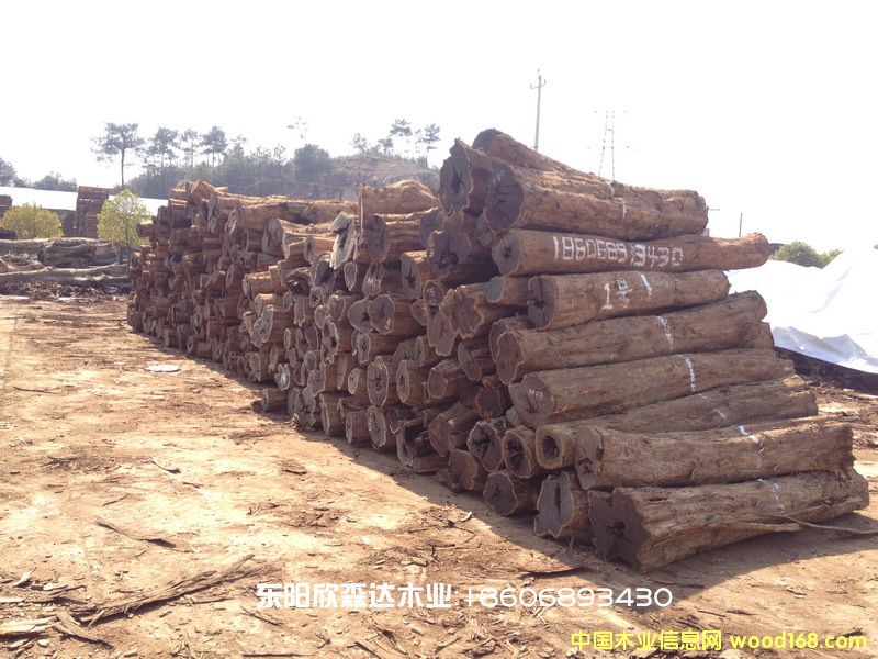 Ϲ̴(Ǻڻ̴,ľ,̴)130226-8