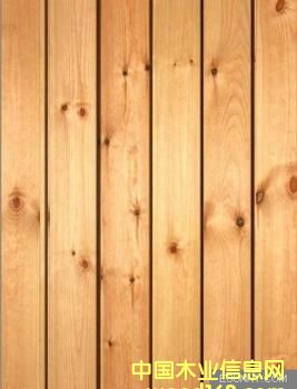 白松的详细介绍