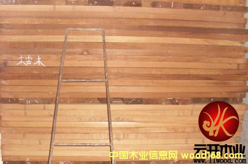 柚木的详细介绍