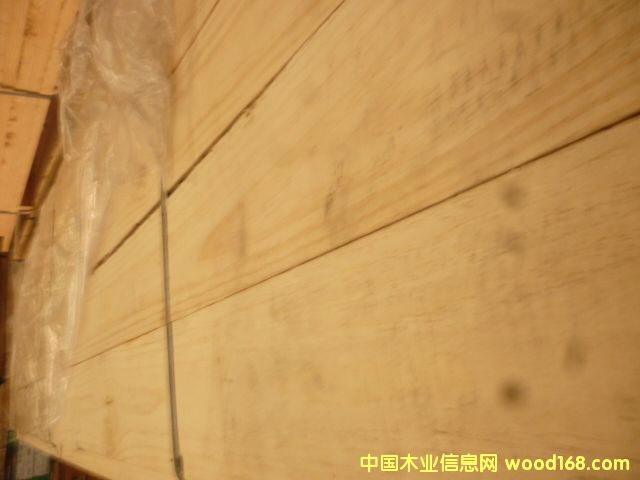 ����33�ٹ������