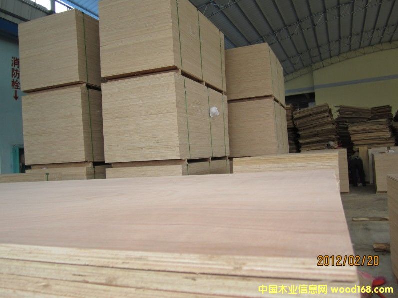 ���ϰ�9�����ϸ����