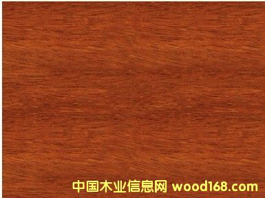 ����鿴ӡ�Ფ�ܸ�Ŵ�ͼƬ