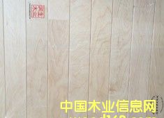 ľľذwww.tipurunsheng.comϸ