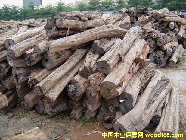 Ǻڻ̴ڱ|Ϲ̴|Ϲ̴ڷ ϸ