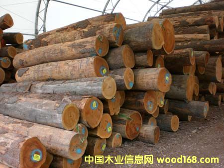 �ں��ҽ��ڱ���|�ں��ҽ�������|�ں��ҽ���ʱ��