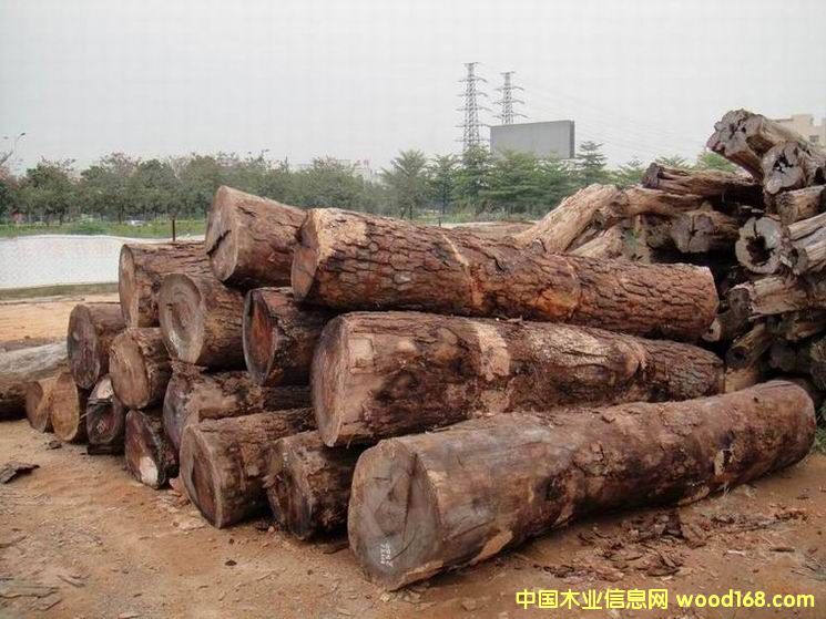 �����޻��棩��������̴���ڱ��ش���