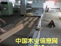 ΢��ľ�ĺ�ɻ�