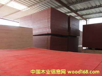 ģ ľ  ߵˮĤ ؼľƤ ̰ϸ