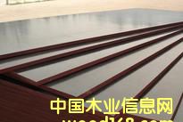 ģ ľ  ߵˮĤ ؼľƤ ̰ϸ