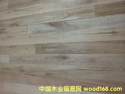 ��ľָ�Ӱ����ϸ����