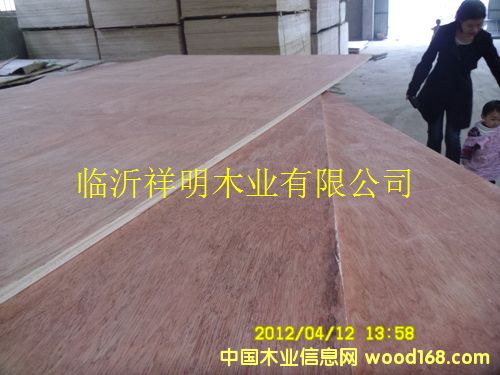 [] 콺ϰ峧ҼֱE0Ҿ߰壬װ