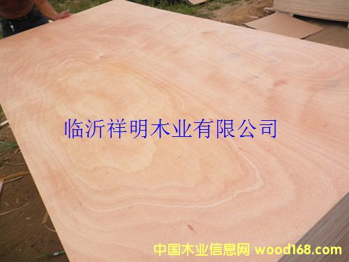 [��] ���ϰ��װ��Ҿ߰����̰�8��