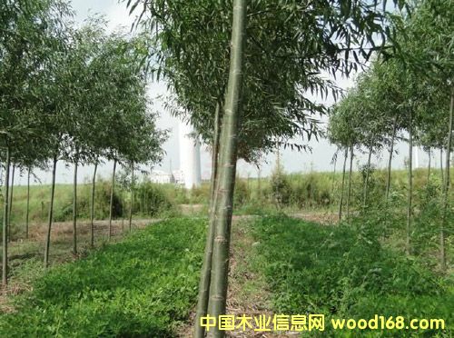 �㶫��������3�Ź㶫����3������������