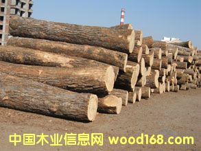 鿴ΪʲôҪɭ֤ŴͼƬ