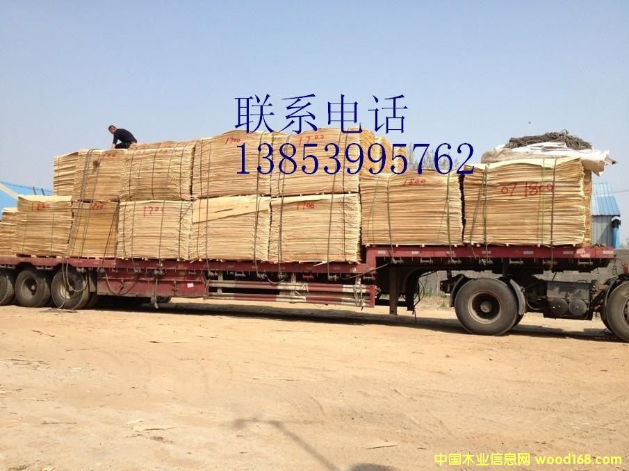 ����鿴����ģ���������Ƥ�Ŵ�ͼƬ