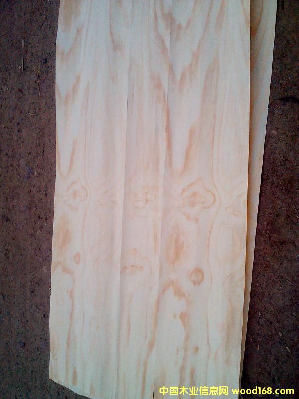 ����鿴��������Ƥ�Ŵ�ͼƬ