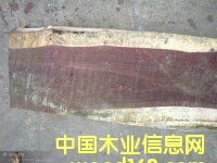 ����ľ|��ľ|�糵ľ|��̴|���������ľ|����|���ڽ������