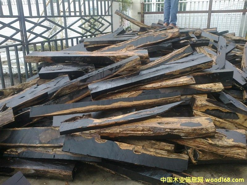 Ƥ|̴|ڻ̴|֦|̴|̴||ڽڱ