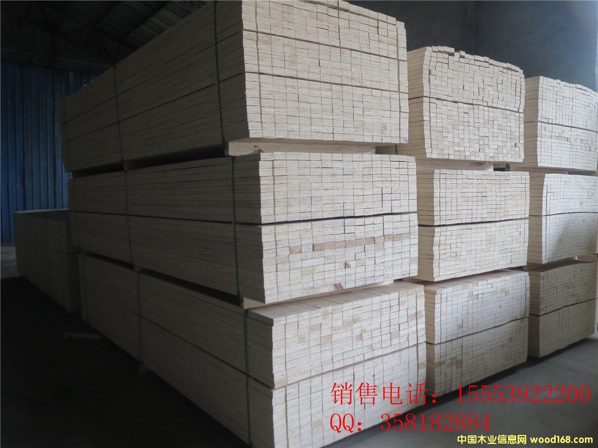 [] ģľ壬Ѭװľ  ϰ